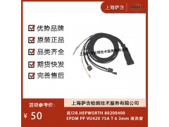 進(jìn)口B.HEPWORTH 80200400清洗管